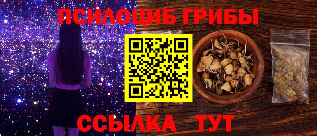 Мытищи  Псилоцибиновые грибы MAGIC MUSHROOMS  Вход с VPN 